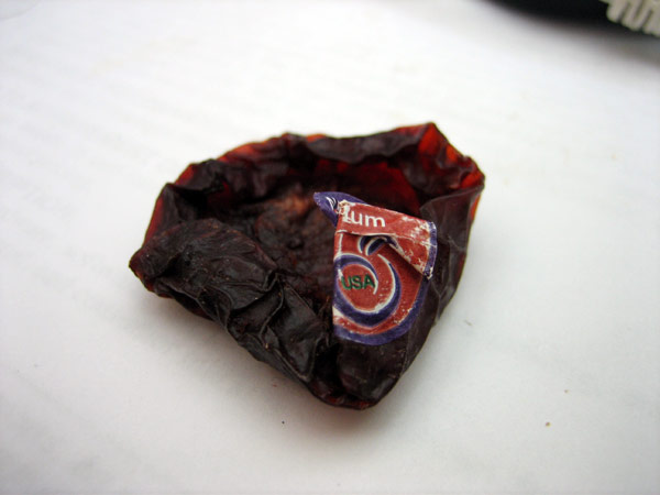 dry-plum